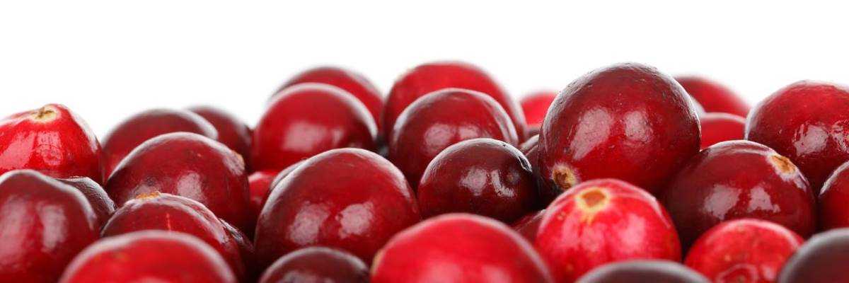 Bladder Infection Effect Cranberry