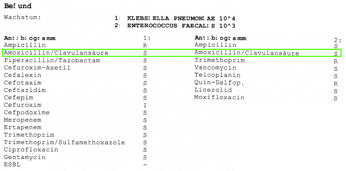 Antibiogram anonymized with two pathogens