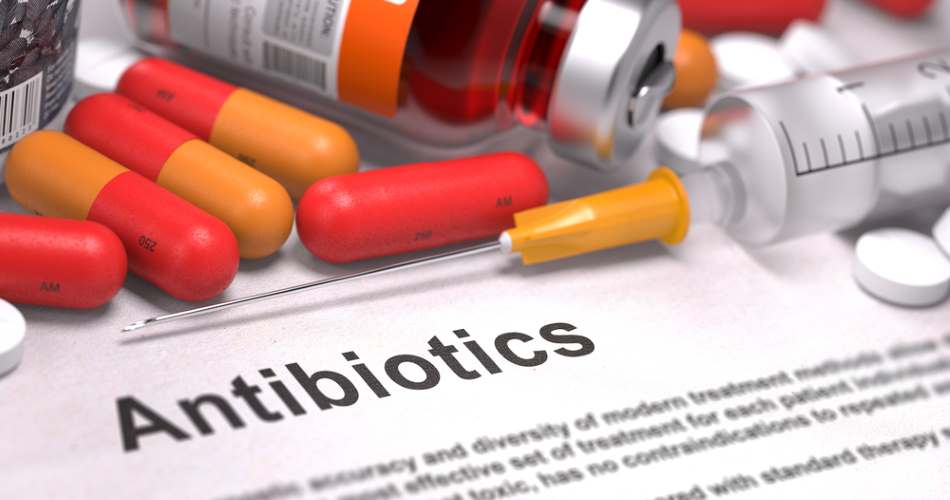 Bladder Infection: Suitable Antibiotic